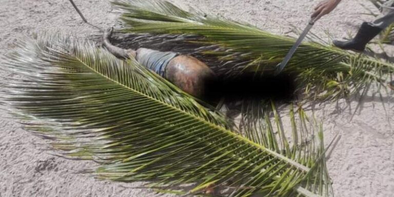 corpo-em-estado-de-decomposicao-e-encontrado-na-praia-de-aibim,-na-peninsula-de-marau