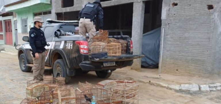 grupo-especializado-em-trafico-interestadual-de-animais-silvestres-e-desarticulado-na-bahia