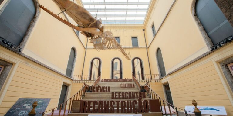 festival-permite-publico-ver-de-perto-reconstrucao-do-museu-nacional