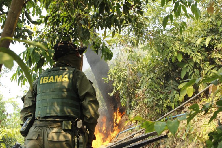 brasil-perdeu-mais-da-metade-dos-fiscais-ambientais:-destruir-e-facil,-retomar-e-um-processo-lento