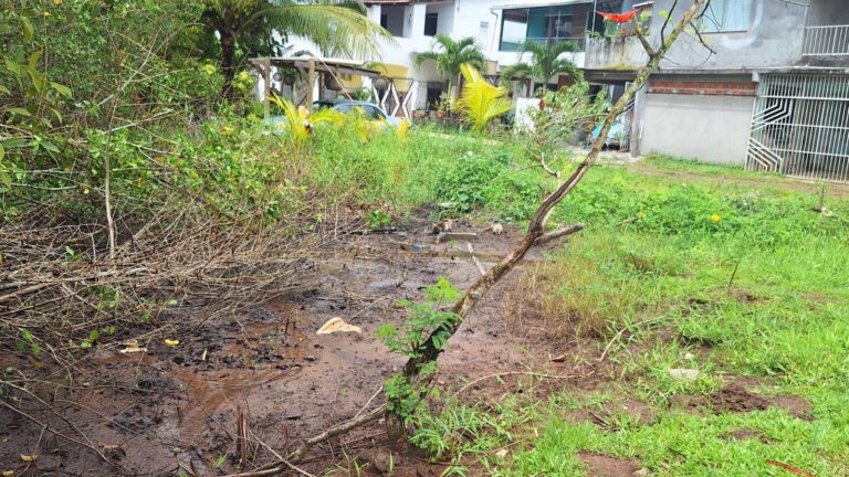 prefeitura-de-valenca-faz-vistoria-em-area-de-manguezal-na-rua-maestro-barrinha,-na-graca