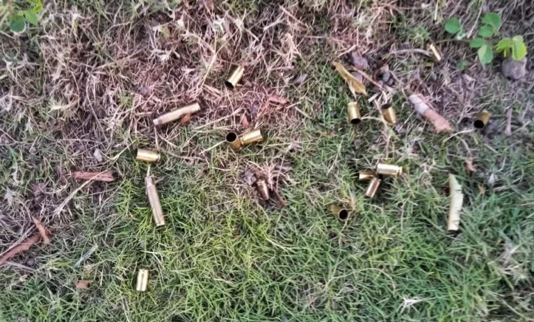 territorio-indigena-no-sul-da-bahia-e-alvo-de-ataque-armado;-duas-pessoas-ficaram-feridas