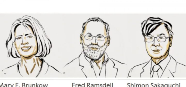 nobel-de-medicina-2025-premia-descobertas-sobre-o-sistema-imunologico-humano