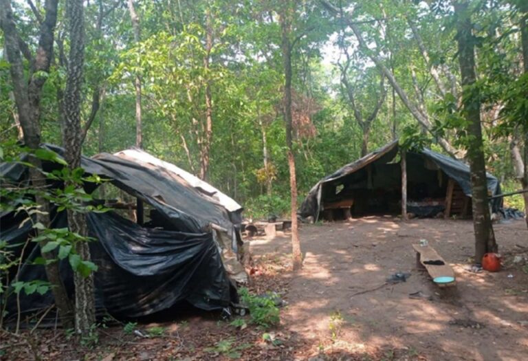 titulos-de-r$-100-mi-do-agro-financiaram-fazendeiro-autuado-por-trabalho-escravo