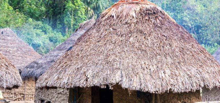 censo-2022-aponta-bahia-como-o-terceiro-estado-com-maior-diversidade-de-povos-indigena