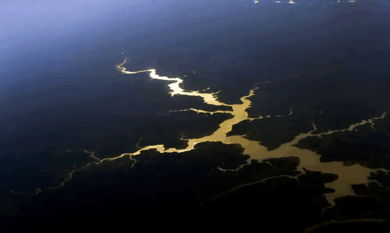 decreto-autoriza-forcas-armadas-na-seguranca-da-cop30