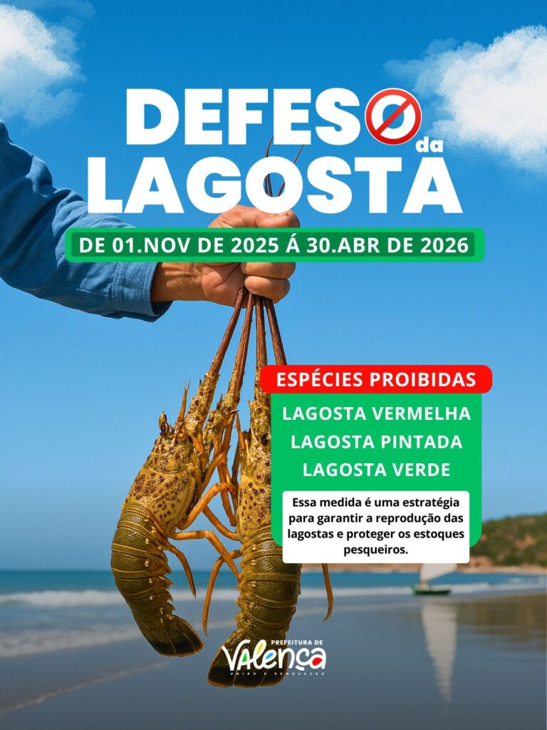 defeso-da-lagosta-comeca-na-bahia