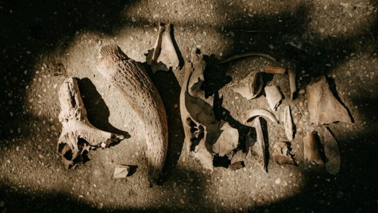 as-10-principais-descobertas-arqueologicas-de-2025-ate-o-momento