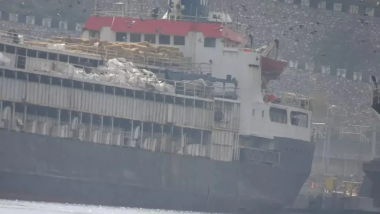 navio-com-3-mil-vacas-vira-crise-global-e-inicia-retorno-ao-uruguai