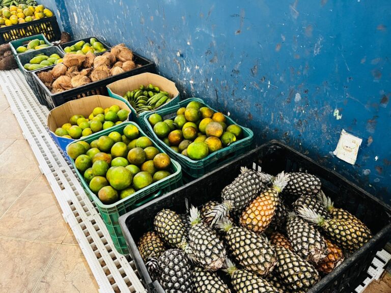 prefeitura-de-valenca-lanca-programa-de-aquisicao-de-alimentos