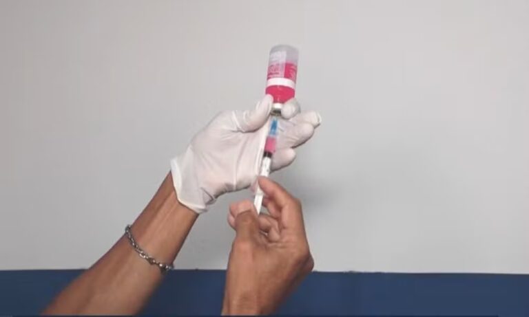 mais-de-90-casos-de-raiva-em-animais-foram-registrados-na-bahia-ate-novembro