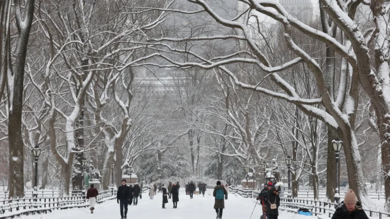 nova-york-declara-estado-de-emergencia-em-meio-a-nevasca