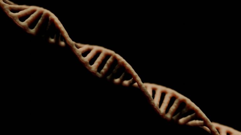 descoberta-no-egito:-conheca-o-genoma-mais-antigo-ja-sequenciado-por-cientistas