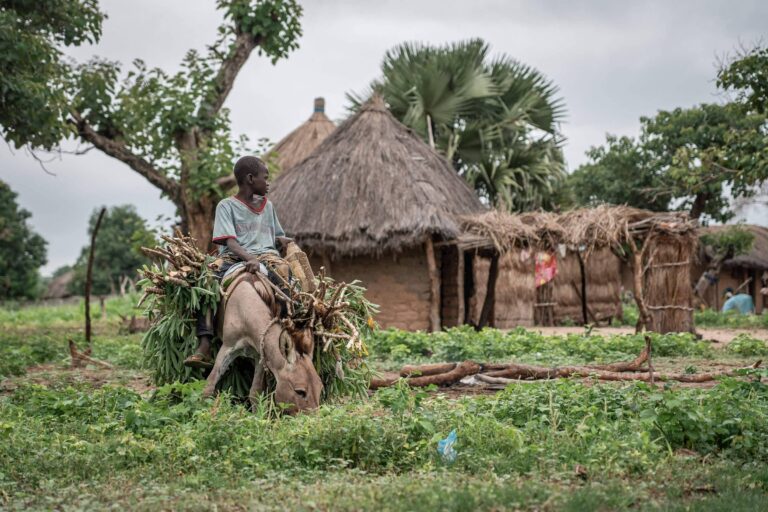 Regiões pobres da África são mais solitárias do que países ricos, diz pesquisa regioes-pobres-da-africa-sao-mais-solitarias-do-que-paises-ricos,-diz-pesquisa