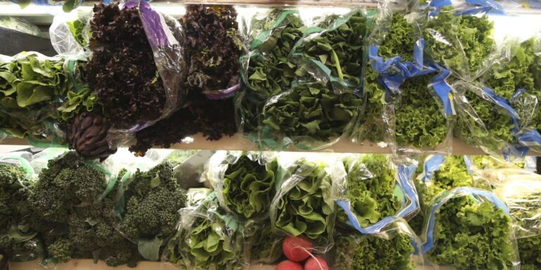 viva-maria-destaca-alimentacao-para-cuidar-do-intestino