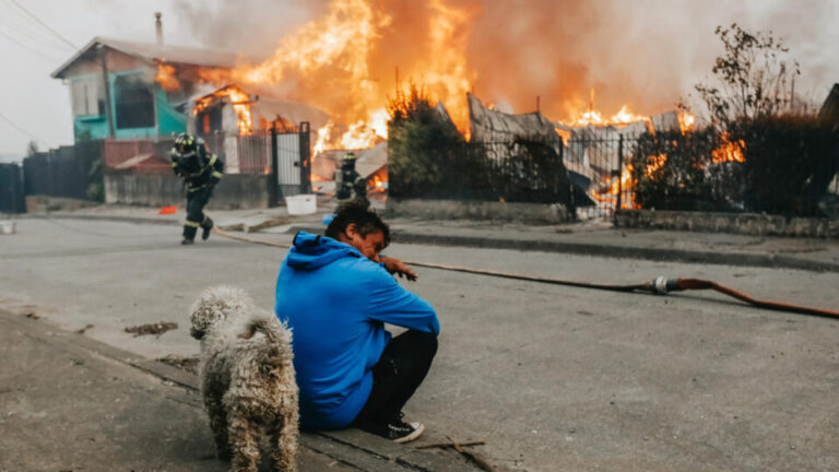 Incêndios florestais no Chile matam 16 e governo declara estado de catástrofe incendios-florestais-no-chile-matam-16-e-governo-declara-estado-de-catastrofe