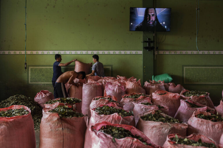 retorno-da-agencia-antidrogas-dos-eua-a-bolivia-marca-mudanca-vertiginosa-no-pais
