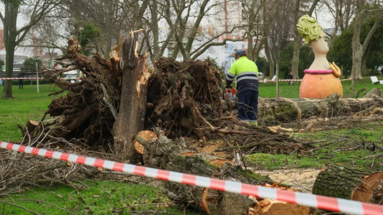 tempestade-em-portugal-mata-cinco-pessoas,-provoca-apagao-e-deslizamentos