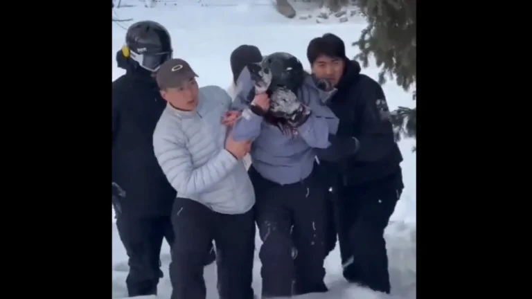 turista-e-atacada-por-leopardo-das-neves-em-parque-da-china;-veja
