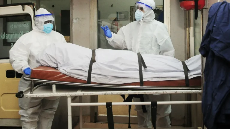 letal-e-sem-tratamento:-virus-nipah-se-espalha-pela-asia