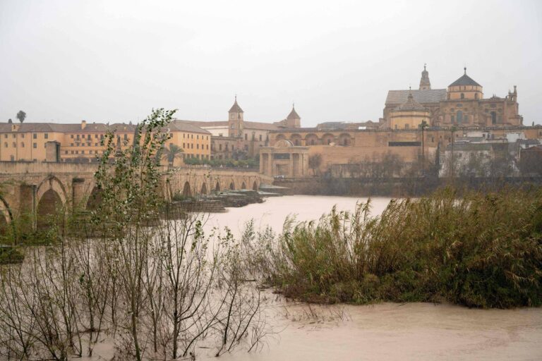 Tempestade Marta mata bombeiro em Portugal e causa danos ‘catastróficos’ a agricultores na Espanha tempestade-marta-mata-bombeiro-em-portugal-e-causa-danos-‘catastroficos’-a-agricultores-na-espanha