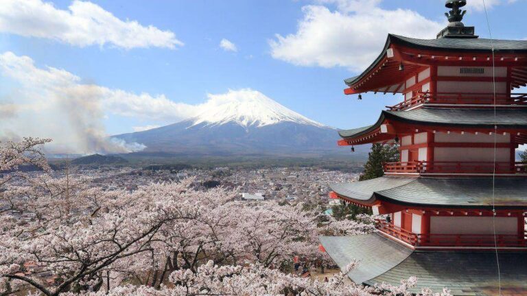 Mau comportamento de turistas leva cidade japonesa a cancelar festival das cerejeiras em flor mau-comportamento-de-turistas-leva-cidade-japonesa-a-cancelar-festival-das-cerejeiras-em-flor