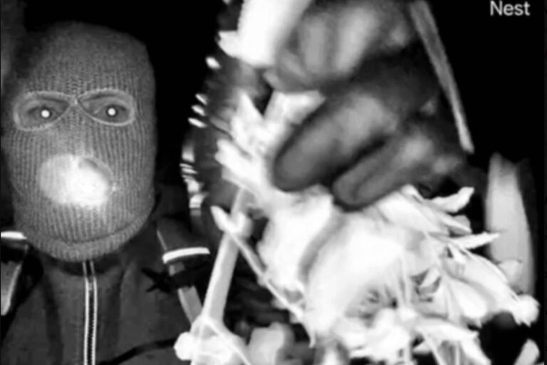 FBI divulga imagens de homem mascarado que teria sequestrado mãe de apresentadora nos EUA fbi-divulga-imagens-de-homem-mascarado-que-teria-sequestrado-mae-de-apresentadora-nos-eua