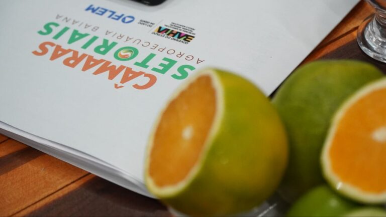 camaras-setoriais-em-debate:-cacau,-sisal,-dende-e-citrus-abrem-o-calendario-2026