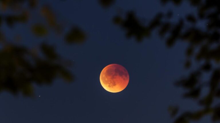 Lua de Sangue: veja imagens surpreendentes do eclipse lunar que foi visível no Brasil lua-de-sangue:-veja-imagens-surpreendentes-do-eclipse-lunar-que-foi-visivel-no-brasil