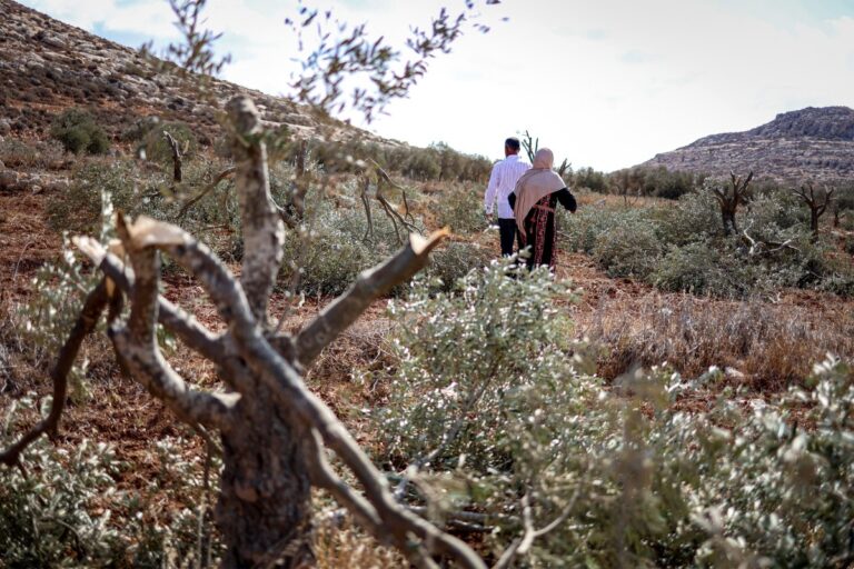 o-genocidio-atinge-o-banco-de-sementes-que-os-habitantes-de-gaza-tanto-prezam