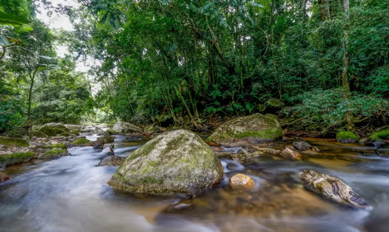 plano-busca-fortalecer-sistema-nacional-do-meio-ambiente-ate-2036