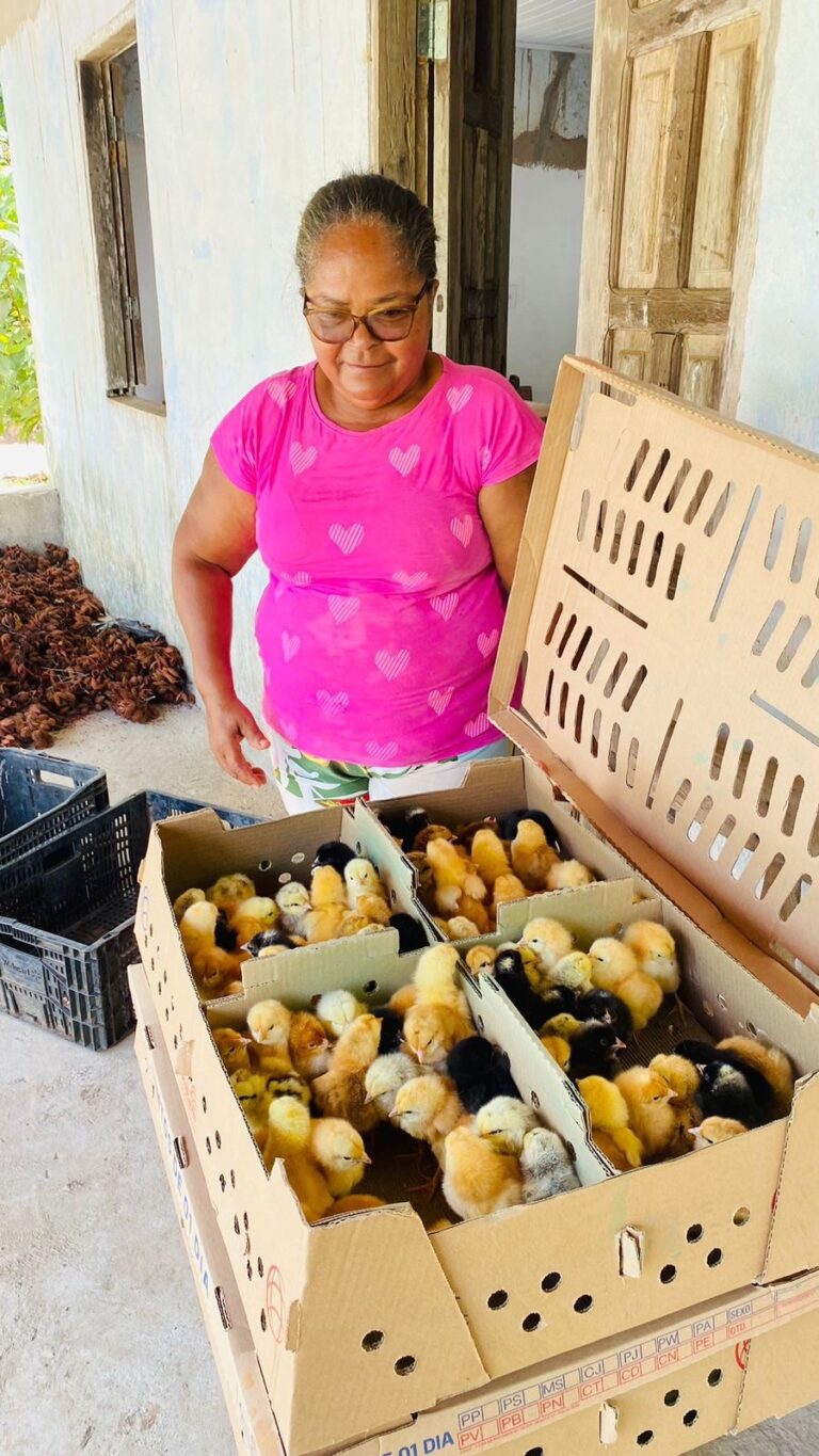 programa-de-criacao-de-pequenos-animais-entrega-600-aves-e-beneficia-60-familias-na-zona-rural