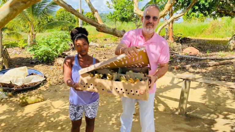 programa-de-criacao-de-pequenos-animais-entrega-600-aves-e-beneficia-60-familias-na-zona-rural