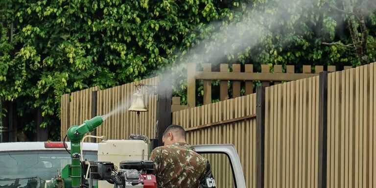 mato-grosso-do-sul-vai-receber-vacina-em-projeto-contra-chikungunya