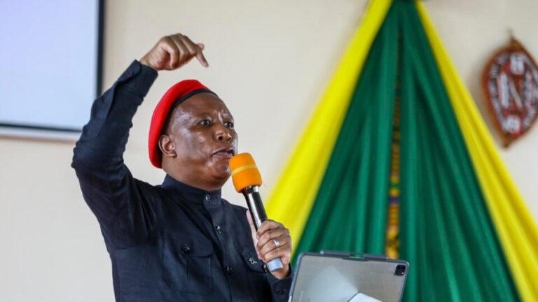 Deputado sul-africano que prega violência contra brancos é condenado por posse ilegal de arma deputado-sul-africano-que-prega-violencia-contra-brancos-e-condenado-por-posse-ilegal-de-arma
