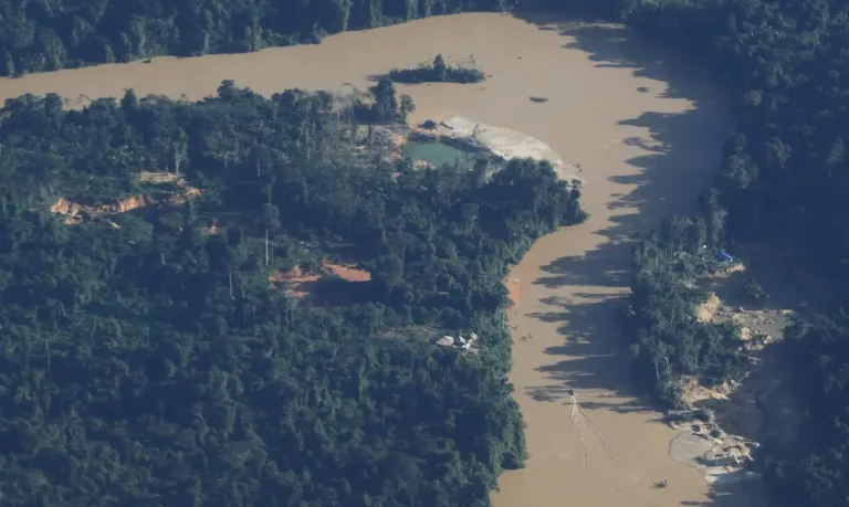 mpf-denuncia-mineracao-ilegal-na-amazonia-a-cidh