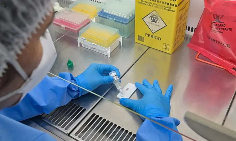 Minas Gerais confirma primeira morte por hantavírus em 2026 minas-gerais-confirma-primeira-morte-por-hantavirus-em-2026