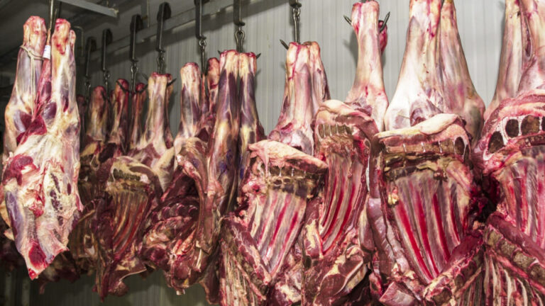 União Europeia veda importação de carne brasileira; governo fala em surpresa com decisão uniao-europeia-veda-importacao-de-carne-brasileira;-governo-fala-em-surpresa-com-decisao