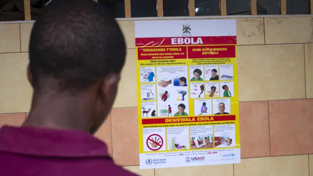 OMS Declara Emergência De Saúde Pública Mundial Devido A Surto De ébola oms-declara-emergencia-de-saude-publica-mundial-devido-a-surto-de-ebola