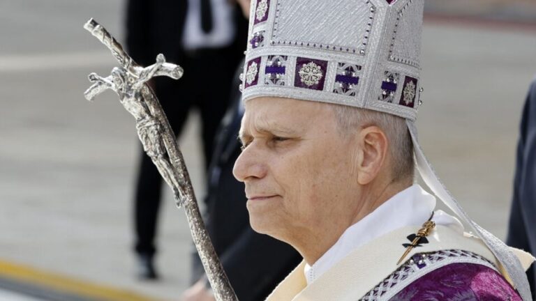 papa-denuncia-esterilidade-drastica-e-discriminacao-contra-maternidade