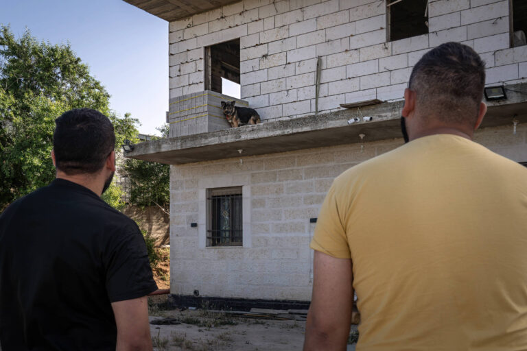 Crueldade contra animais choca palestinos já acostumados à violência na Cisjordânia crueldade-contra-animais-choca-palestinos-ja-acostumados-a-violencia-na-cisjordania