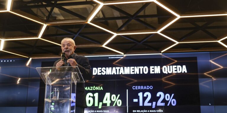 Desmatamento na Amazônia tem queda de 60% e Lula diz que EUA mentem desmatamento-na-amazonia-tem-queda-de-60%-e-lula-diz-que-eua-mentem