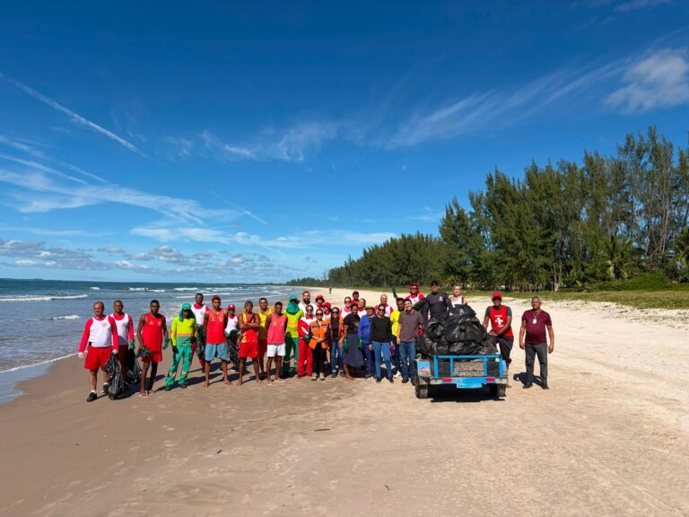 Ação Oceano Vivo, Praia Limpa mobiliza órgãos públicos e sociedade em Guaibim acao-oceano-vivo,-praia-limpa-mobiliza-orgaos-publicos-e-sociedade-em-guaibim
