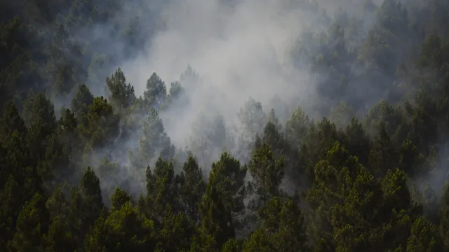 Incêndio Na Espanha Queima 13 Mil Hectares E Expulsa Centenas De Casa incendio-na-espanha-queima-13-mil-hectares-e-expulsa-centenas-de-casa