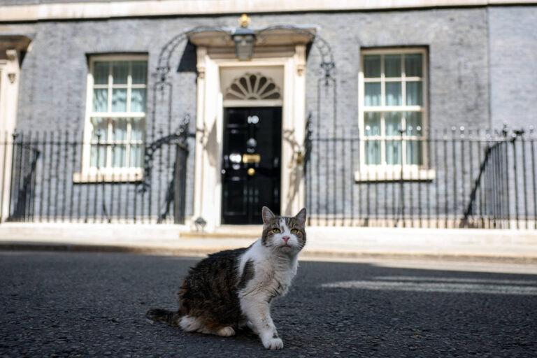 quem-e-andy-burnham-na-fila-de-larry,-gato-de-downing-street