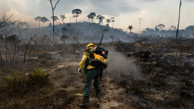 Homem é Preso Por Iniciar ‘pior Incêndio Da História’ Na Região De Madri homem-e-preso-por-iniciar-‘pior-incendio-da-historia’-na-regiao-de-madri