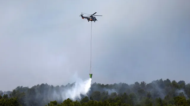 Incêndios Na Espanha E França Levam à Retirada De Mais De 160.000 Pessoas incendios-na-espanha-e-franca-levam-a-retirada-de-mais-de-160.000-pessoas