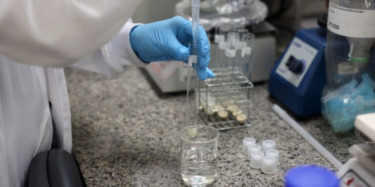 brasil-tem-estrategia-para-ciencia,-tecnologia-e-inovacao-ate-2034
