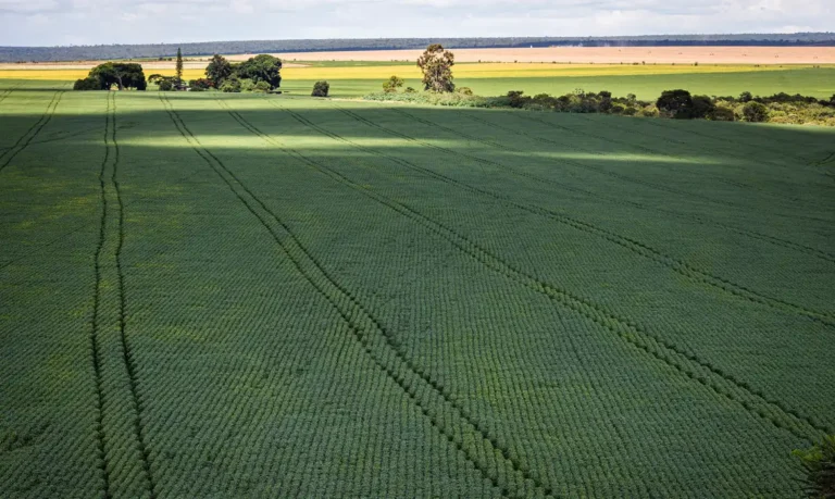 senado-aprova-plano-para-fabricacao-de-fertilizantes-no-brasil