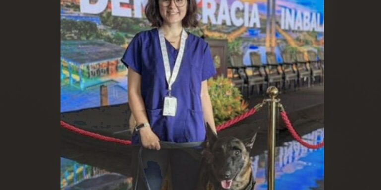 Morre veterinária atacada por cachorro no canil do Senado Federal morre-veterinaria-atacada-por-cachorro-no-canil-do-senado-federal